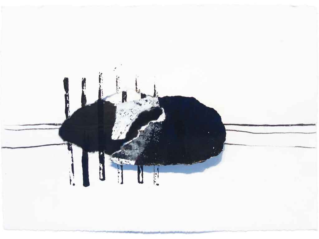 Dana Widawski · Linie & Fragment · 3/04 Dana Widawski · Linie & Fragment · 2004